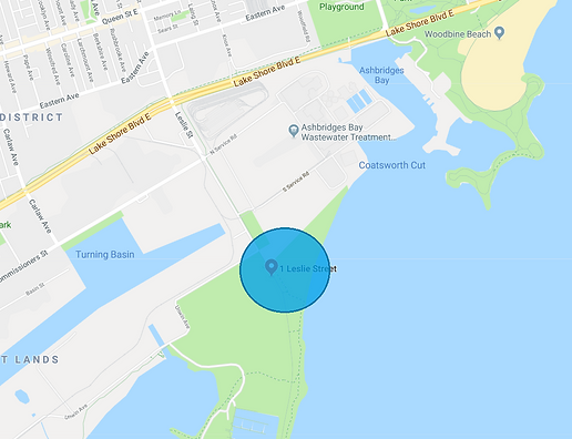 1 Leslie Street meet up point.PNG